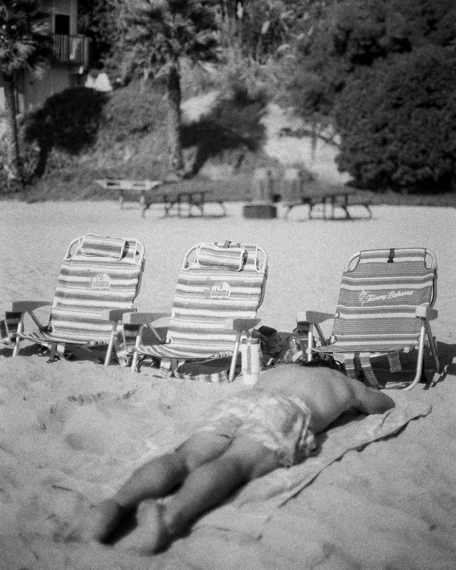 Beach photo 10