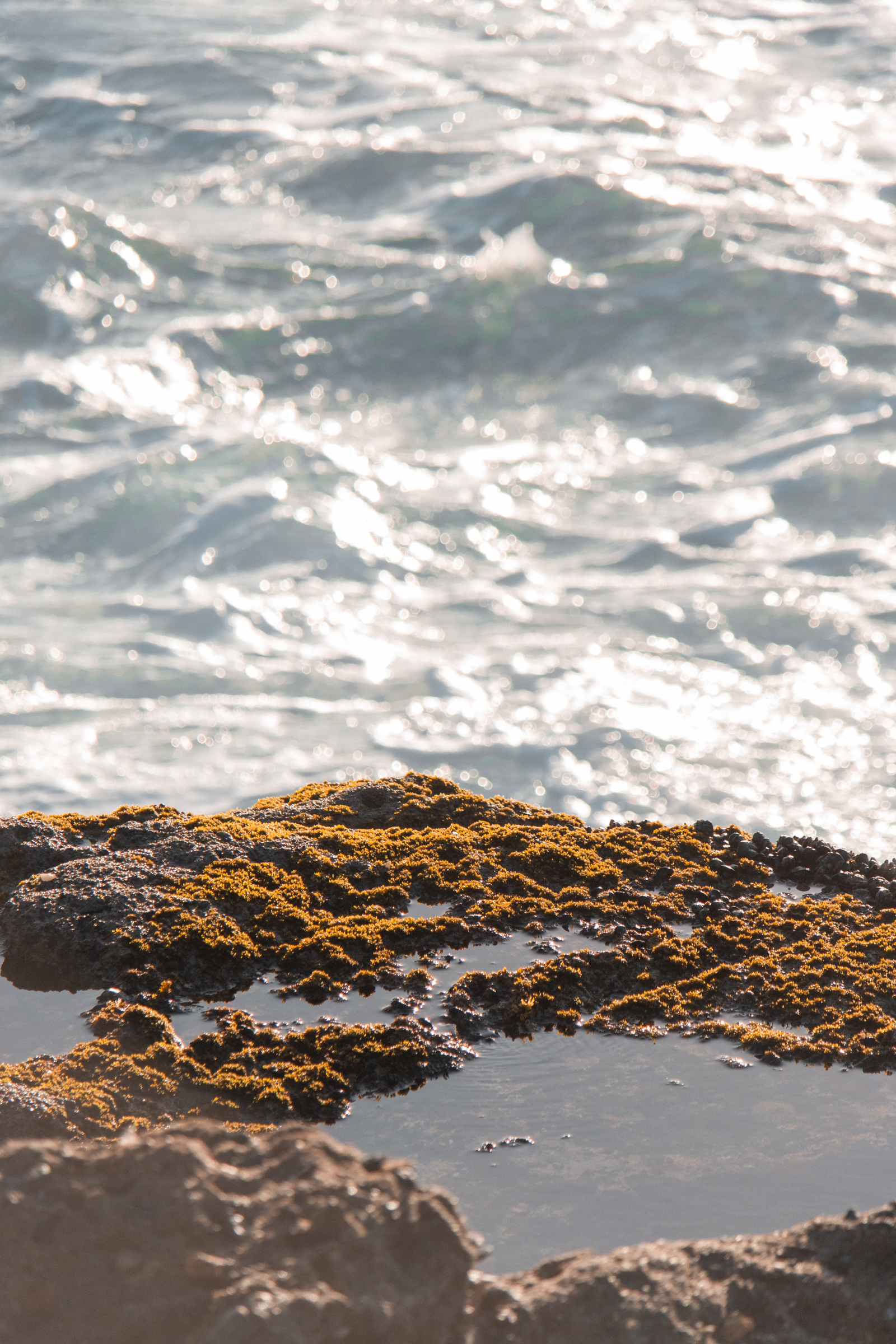 Beach photo 2