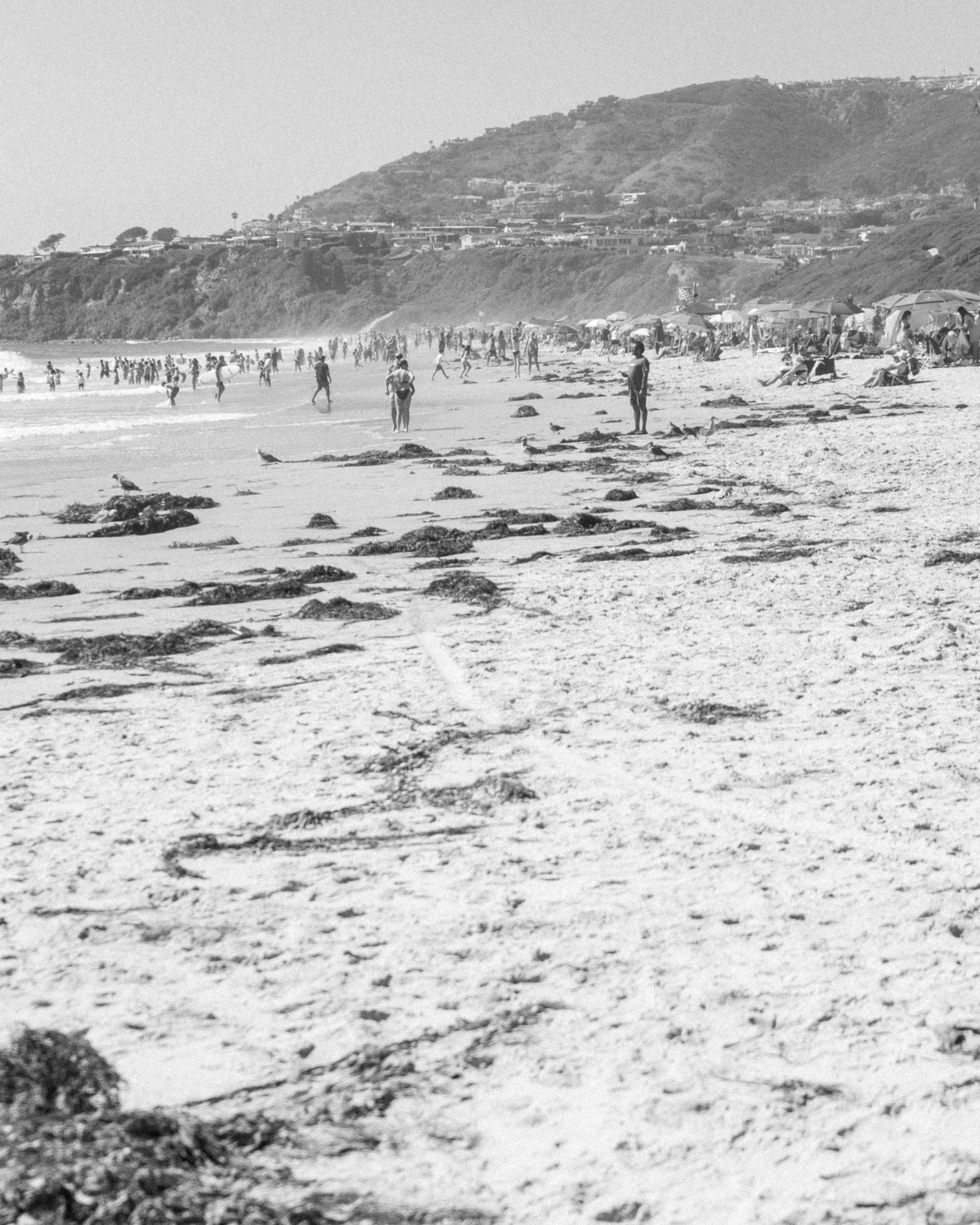 Beach photo 43