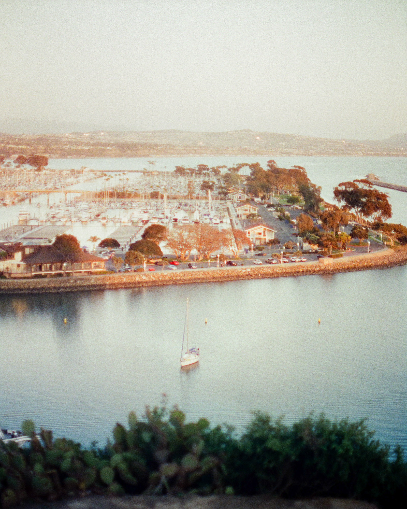 Beach photo 45