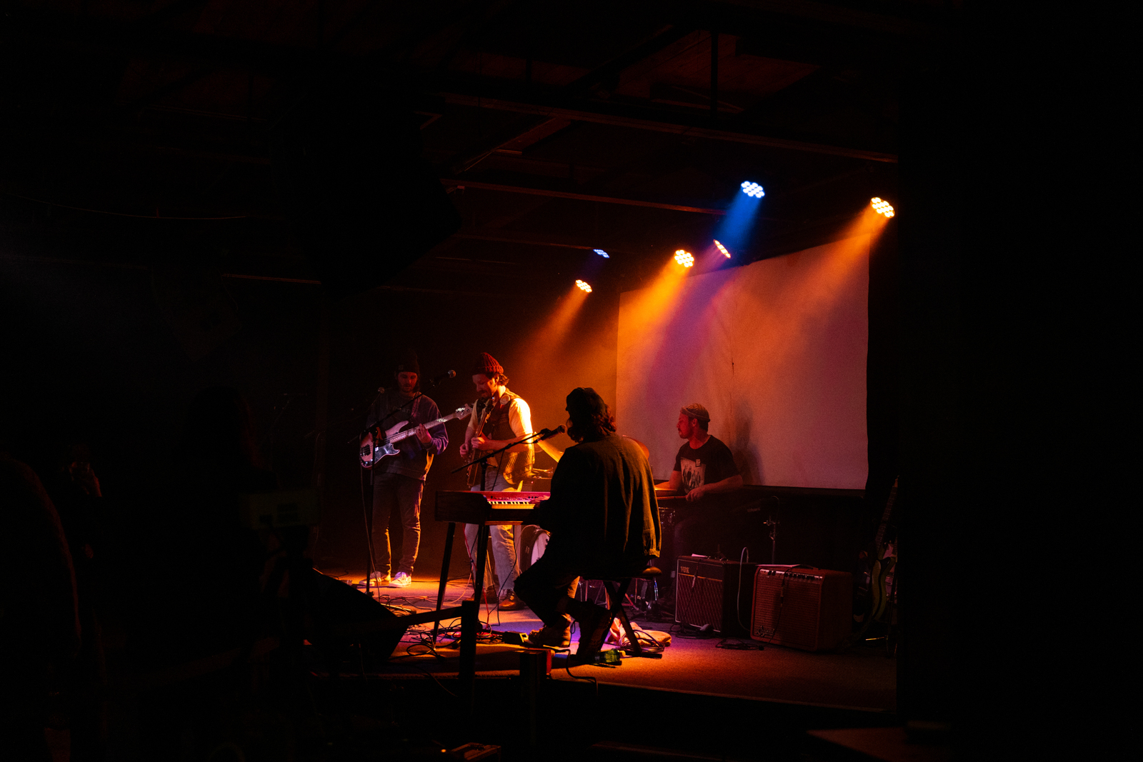 Concert photo 31