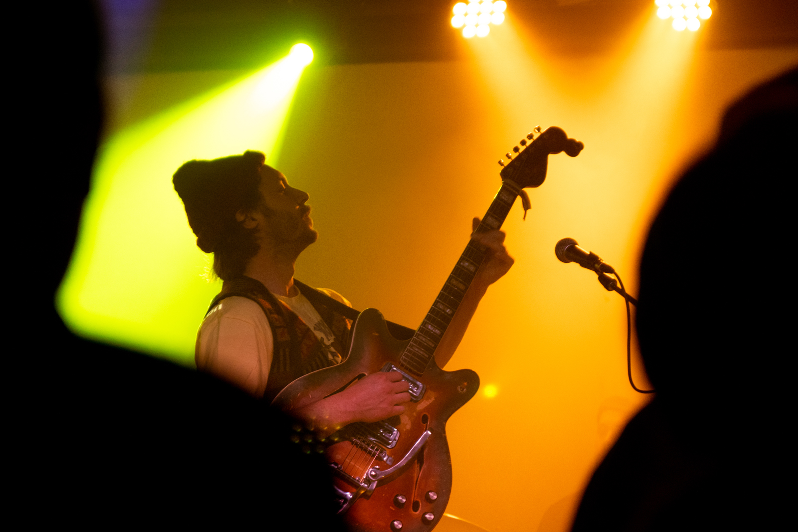 Concert photo 37