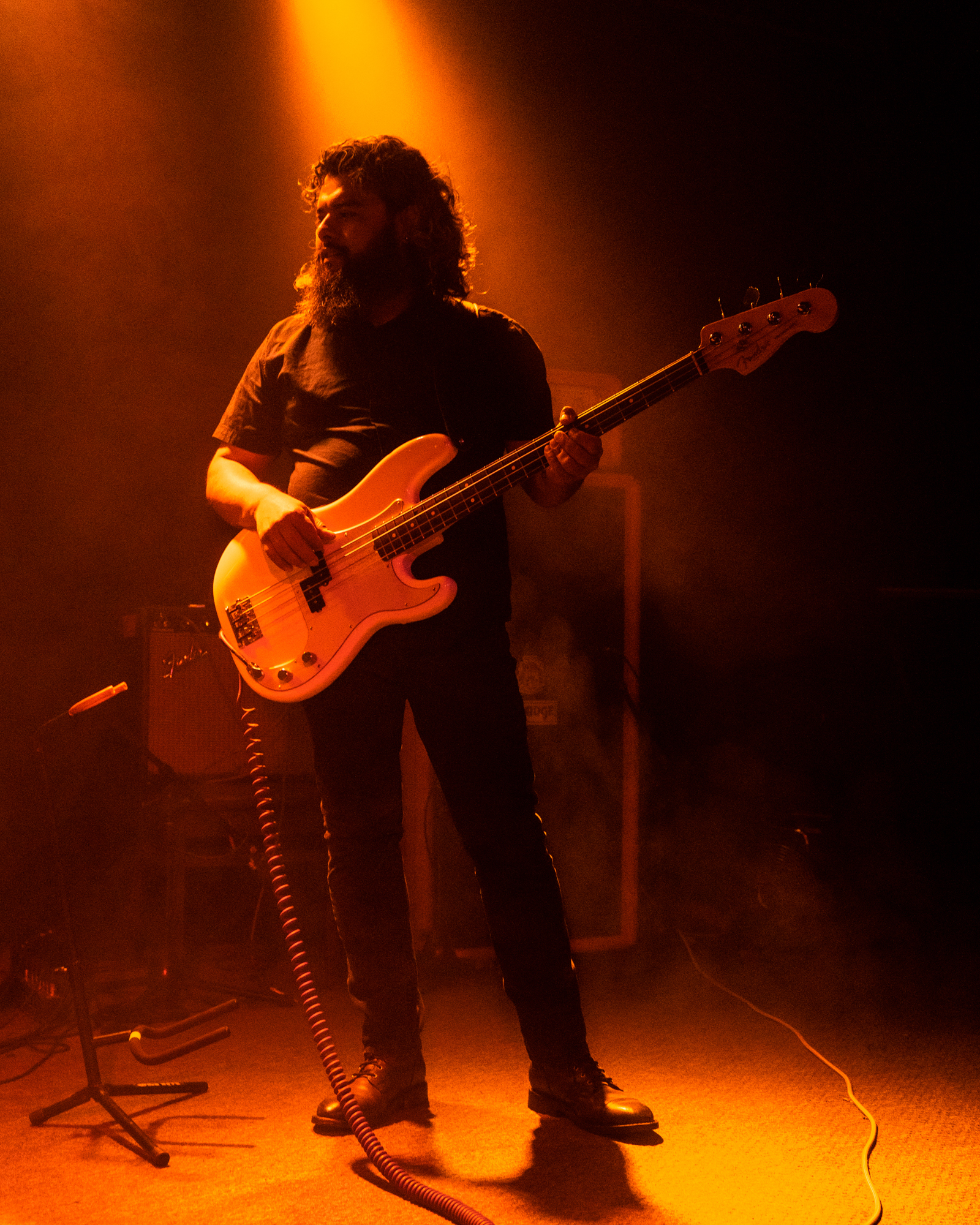 Concert photo 50