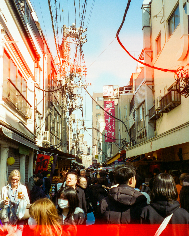 Travel photo 50