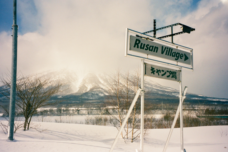 Winter photo 10